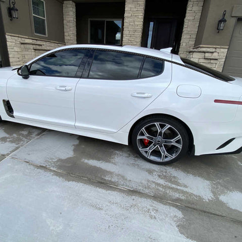 Carbon Fiber Texture Vinyl Pre-Cut Window Strip Cover For Kia Stinger 2018-2020