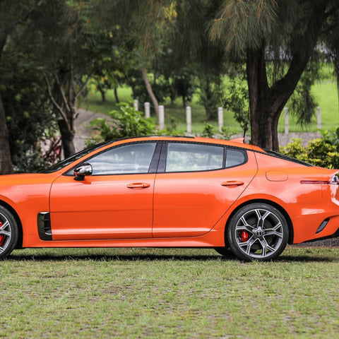 Carbon Fiber Texture Vinyl Pre-Cut Window Strip Cover For Kia Stinger 2018-2020