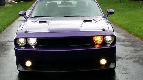 No Flashing or Burnt Out / Error Code / Hyper-Flashing 6 Ohm 50W Load Resistors