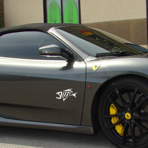 1x Skeleton Fish Exact Fit Sticker Fish Bones Skull Window Silver Decal