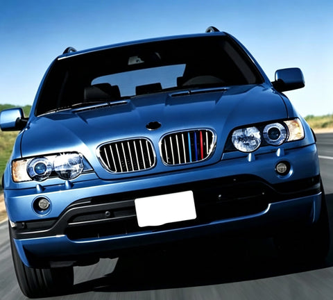 Tri-Colored Front Center Kidney Grille Strips Clip Cover For BMW X5 E53 1999-03