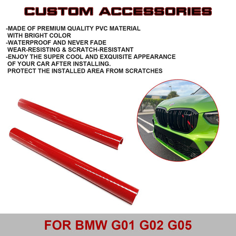 Front Grille Insert Trims Stripes, Front Center Kidney Grilles Trim Compatible with BMW X3 X4 X5 F25 G01 G02 G05(Red)