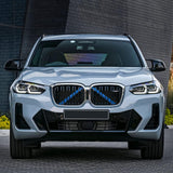 Front Grille Insert Trims Stripes, Front Center Kidney Grilles Trim Compatible with BMW X3 X4 X5 F25 G01 G02 G05(Blue)