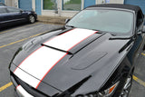 Compatible with Ford Mustang 2015-2021 White Red Graphics Sporty Decal Stripe Trunk Stickers