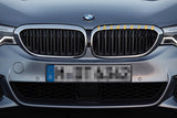 M SPORT COLORED CENTER KIDNEY GRILLE INSERT TRIM STRIPS 17+ BMW G30 G31 5 SERIES 520i 530i 540i M550i 520d 525d 530d 540d (9 beam bars)
